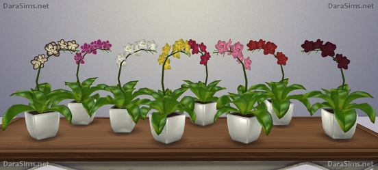 orchid sims 4