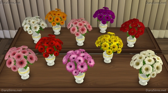 gerbera recolors