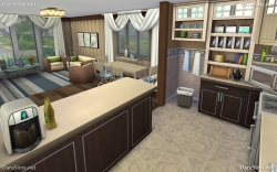 kitchen and living room